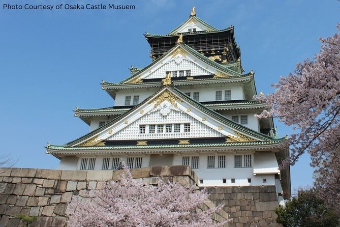 1 Day Takoyaki Making and Osaka Castle Walking Tour - Key moments worth planning for
