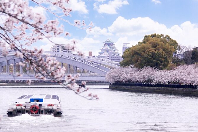 1 Day Takoyaki Making and Osaka Castle Walking Tour - Starting at Namba and setting your Osaka tone