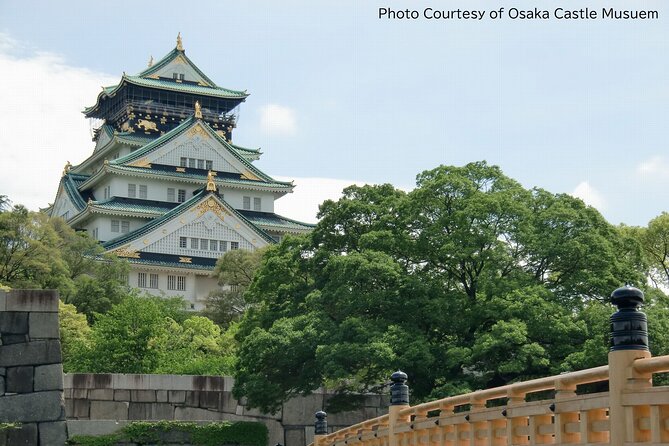 1 Day Takoyaki Making and Osaka Castle Walking Tour - Osaka Castle: the views, the structure, and the timing