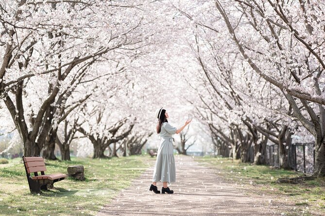 1 Hour Private Photoshoot in Osaka - Osaka Castle Photos: Classic Views Without the Guesswork