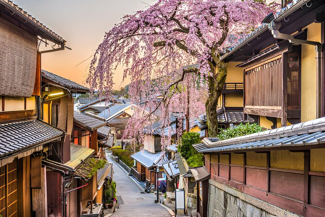 3 Days Private Osaka Kyoto and Nara Tour With English Driver - Who this tour fits best