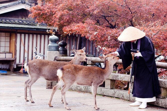3 Days Private Osaka Kyoto and Nara Tour With English Driver - Day 1 Osaka Castle, shrines, shopping arcades, and a noodle-history stop