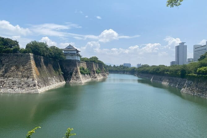 Allure of Osaka Walking Day Tour with a local guide - Abeno Harukas and Tennoji views: when you want the bigger picture