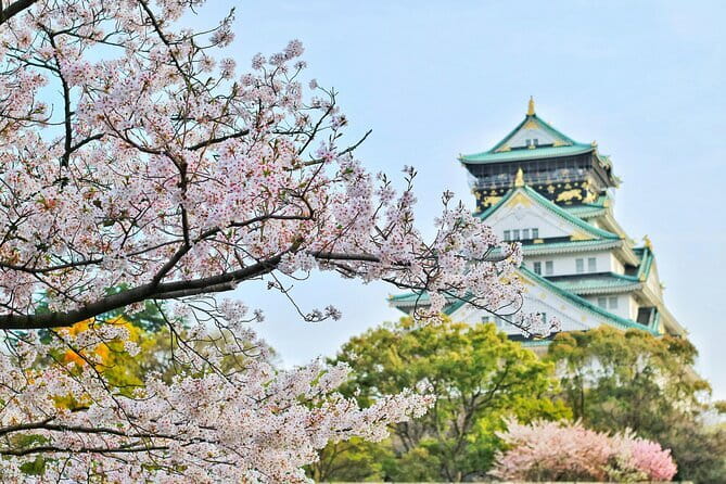Amanohashidate & Ine Boathouse Full-Day Tour from Kyoto or Osaka - Ine Fishing Village: funaya houses, bikes, and water time