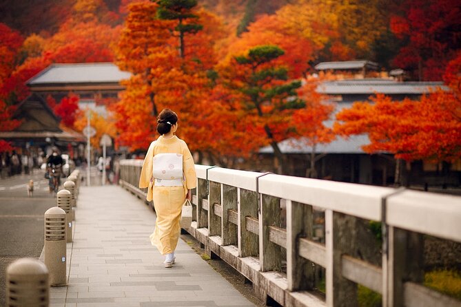 Best of Kyoto and Nara Highlights Day Tour from Osaka (7~9 spots) - Wakakusayama View Stop Behind Nara Park