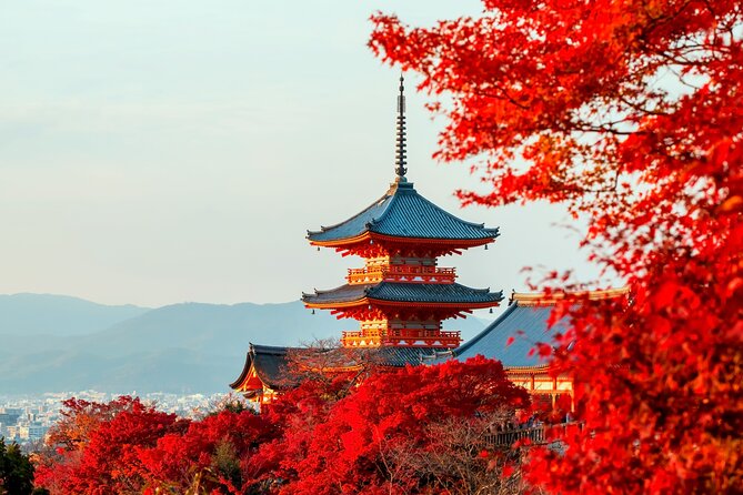 Best of Kyoto and Nara Highlights Day Tour from Osaka (7~9 spots) - Fushimi Inari Taisha Torii Gates and a Sacred Walk