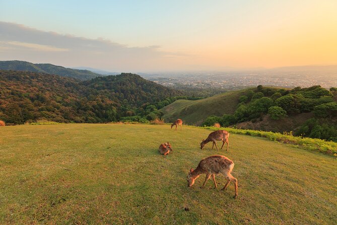 Best of Kyoto and Nara Highlights Day Tour from Osaka (7~9 spots) - Kyoto Finale at Kiyomizu-dera, and Planning for Optional Admission