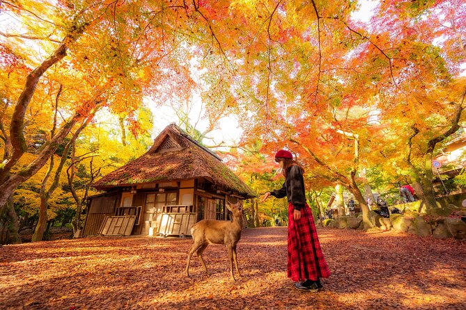 Best of Kyoto and Nara Highlights Day Tour from Osaka (7~9 spots) - Nara Must-Dos: Kasuga Grand Shrine, Nara Park Deer, and Todai-ji