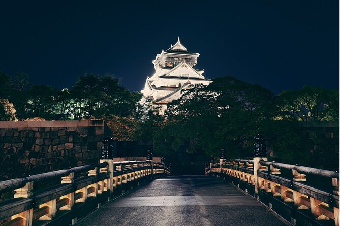 Best Private Osaka Walking Tour With A Guide 100% Personalised - How the meet-up works (and why that first hour matters)