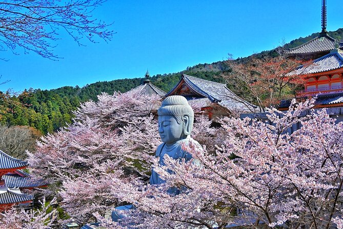 Cherry Blossom Buddha and Mt.Yoshino with Strawberry Picking Tour - Strawberry picking in Asuka-mura, 30 minutes of all-you-can-eat joy