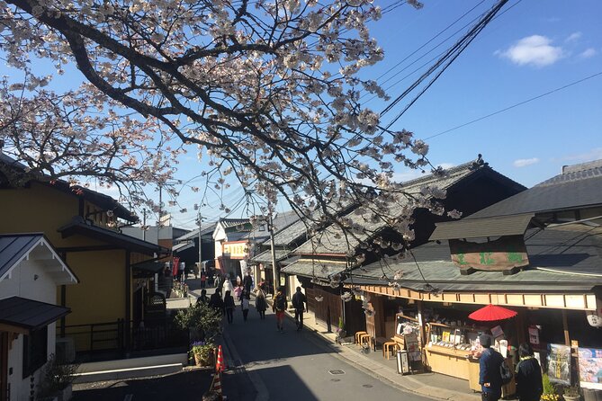 Cherry Blossom Buddha and Mt.Yoshino with Strawberry Picking Tour - Weather, flexibility, and the one thing you can control