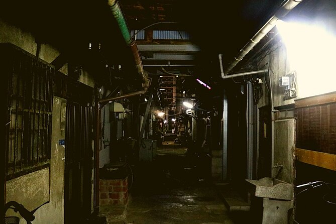 Deep Backstreet Osaka Tours (Option to add Dinner) - Street-food tastings at family-run stalls, built into the route