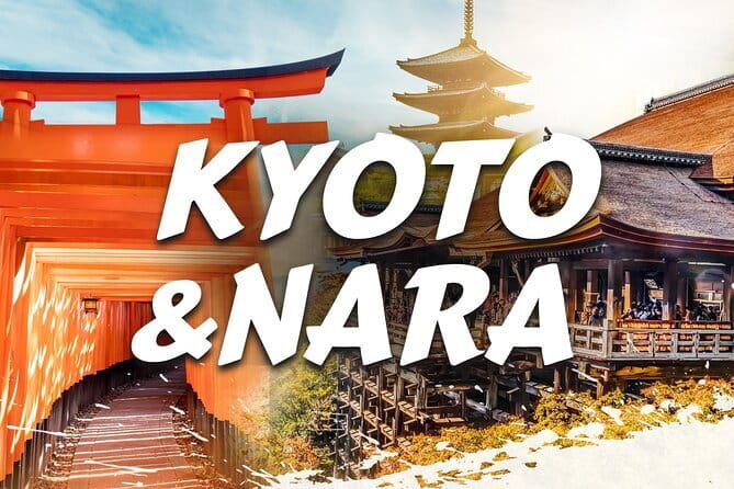 Discover Himeji, Kobe and Nara from Osaka - Nara Park and Todaiji: Deer Photos and the Great Buddha Ticket
