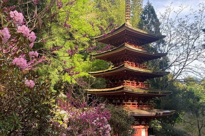 Exclusive Luxury Day Tours Serene Nara - Luxury door-to-door transport from Osaka or Kyoto