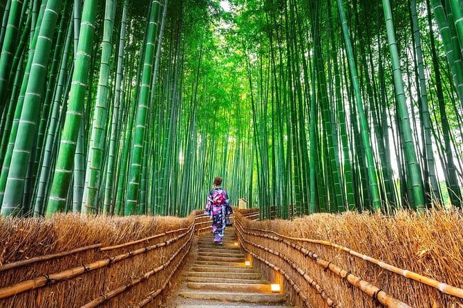 Exclusive Luxury Day Tours Serene Nara - Kasuga Grand Shrine: torii in the forest and quiet focus