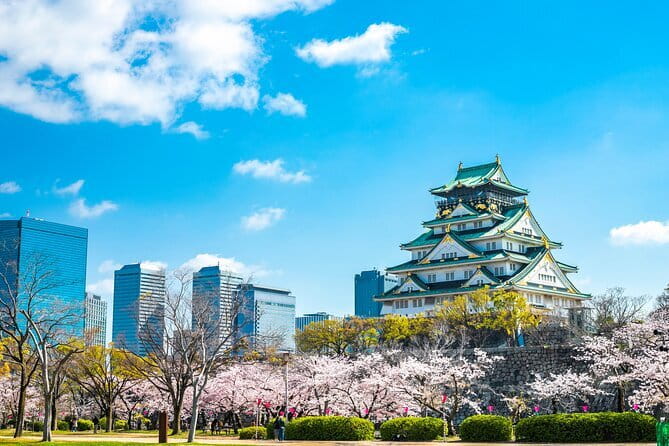 Explore Osaka | Private Tour - Local English Driver(guide option) - Key highlights you will feel during the day