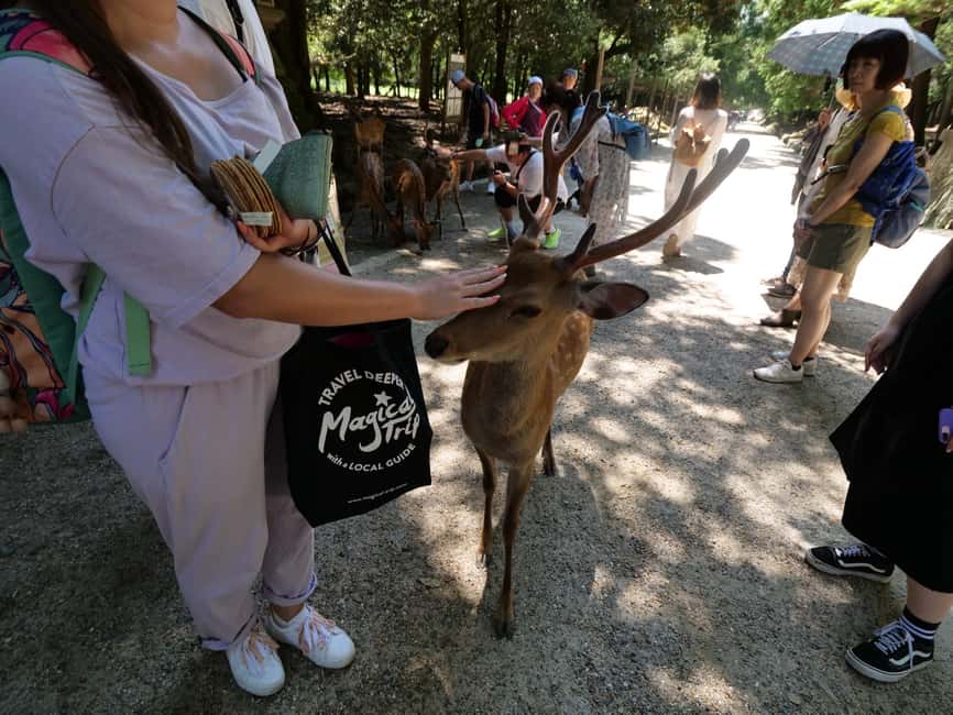 From Kyoto or Osaka: Kyoto Highlights & Nara Park Day Trip - Todaiji Temple option when you want more than deer and leaves
