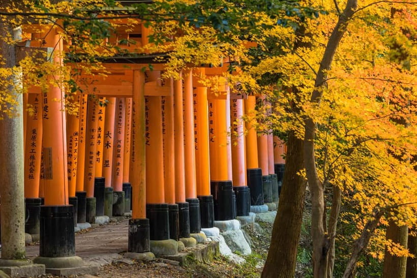 From Kyoto/Osaka: Kyoto Top Highlights 1-Day Guided Bus Tour - Crowds, Heat, and Walking Time You Should Plan For