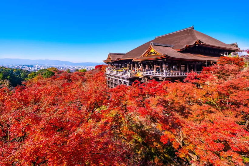 From Kyoto/Osaka: Kyoto Top Highlights 1-Day Guided Bus Tour - Coach Bus Comfort: Wi-Fi, A/C, and a Guide Who Keeps You Moving