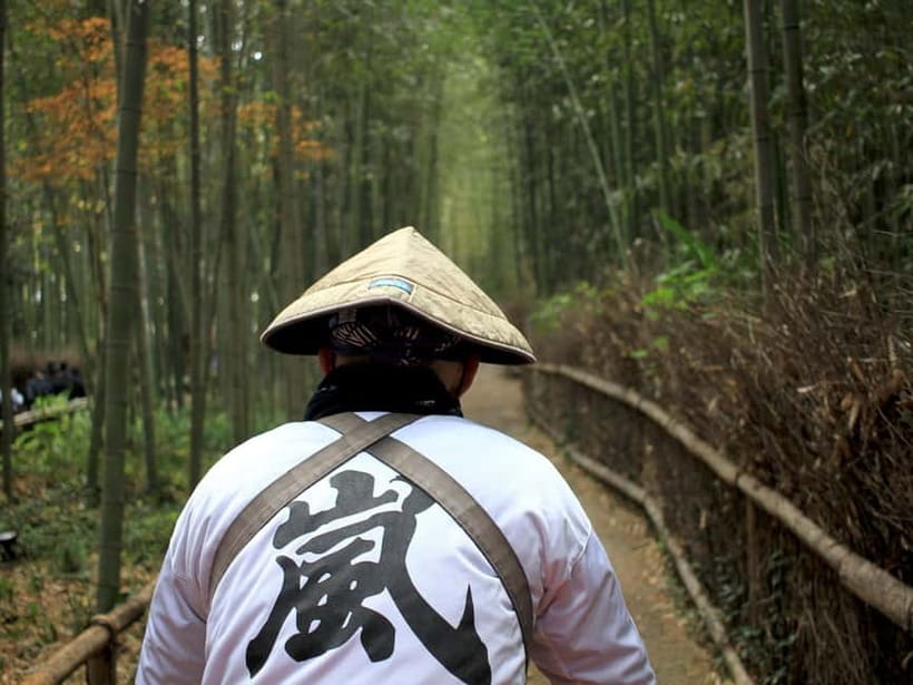 From Kyoto/Osaka: Kyoto Top Highlights 1-Day Guided Bus Tour - Starting in Osaka or Kyoto, Without the Headache