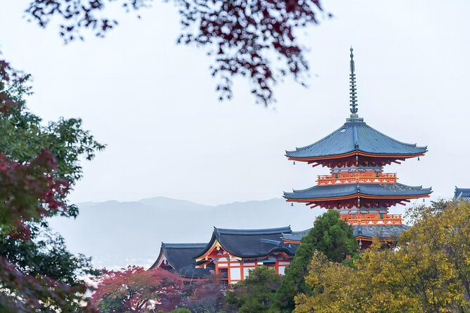 From Osaka: 10-hour Private Customizable Tour to Kyoto - Stop 5: Sannenzaka Ninenzaka, stone steps, and souvenir-worthy strolls