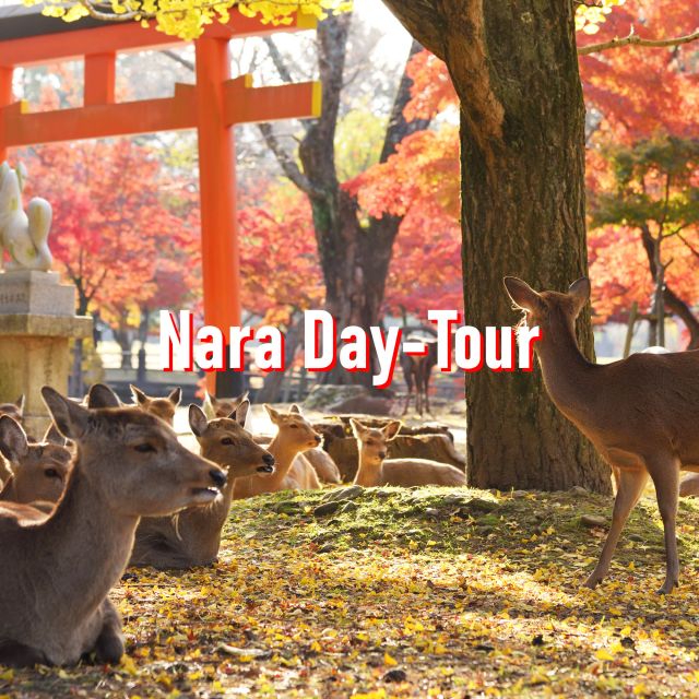 From Osaka: 10-hour Private Customized Tour to Nara - Nara Town Historic District: Walking the Old Streets at Human Speed