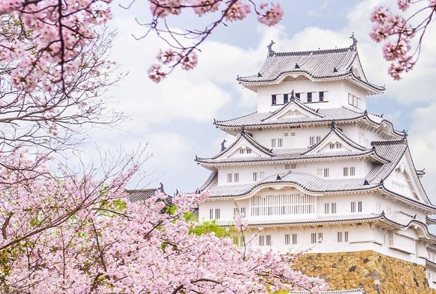 From Osaka: Himeji Castle, Arima Onsen & Mt. Rokko Day Tour - Himeji Castle walking routes and how to make the most of 2 hours