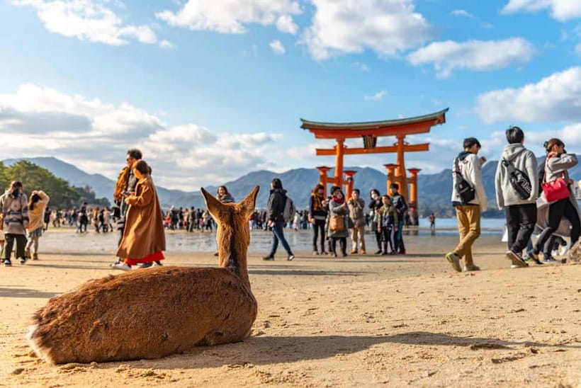 From Osaka: Hiroshima and Miyajima Day Trip by Bullet Train - Miyajima free time: deer, streets, oysters, and momiji manju
