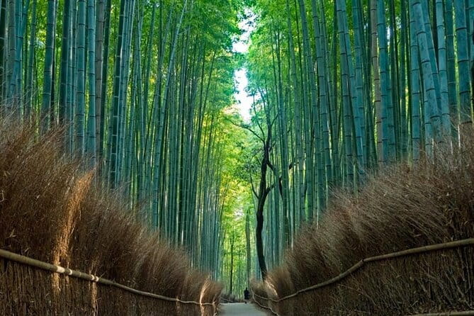 From Osaka/Kyoto: Kyoto & Nara Day Trip with Optional Lunch - Key takeaways before you go