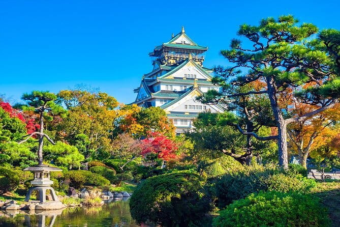 From Osaka/Kyoto: Kyoto & Nara Day Trip with Optional Lunch - Comfort, crowd pressure, and the timing rules that matter