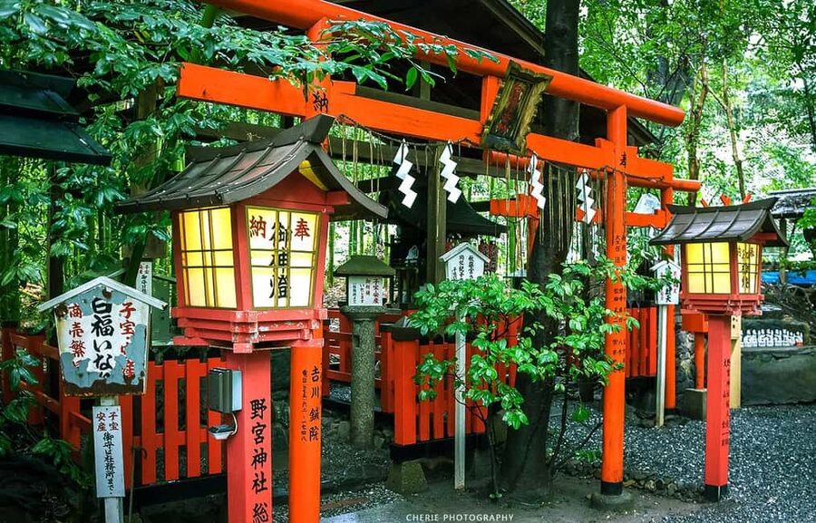 From Osaka: Kyoto, Nara, Fushimi Inari & Arashiyama Day Tour - Why this Osaka-to-Kyoto day trip works (especially for first timers)