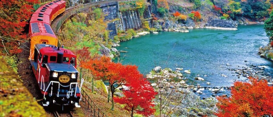 From Osaka: Kyoto, Nara, Fushimi Inari & Arashiyama Day Tour - Optional Sagano Romantic Train: when the river gorge view is worth it