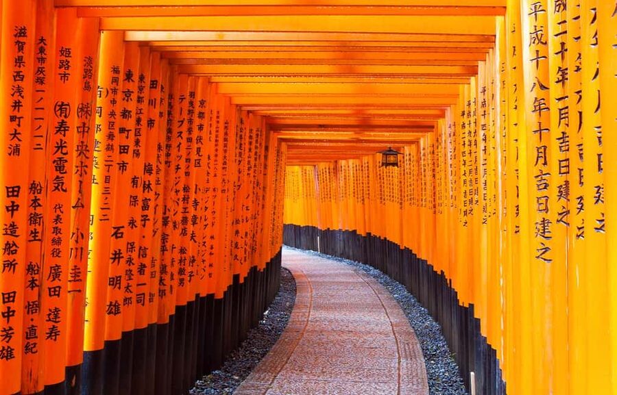From Osaka: Kyoto, Nara, Fushimi Inari & Arashiyama Day Tour - The day on the ground: timing, group behavior, and guide support