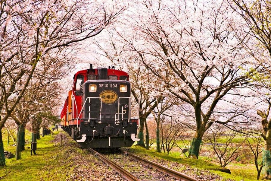 From Osaka: Kyoto, Nara, Fushimi Inari & Arashiyama Day Tour - Nara Park deer time: how to enjoy it without stress