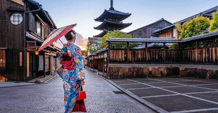 From Osaka: Kyoto Private Day Tour - Your van choice: 7-seater vs 10-seater, plus luggage math