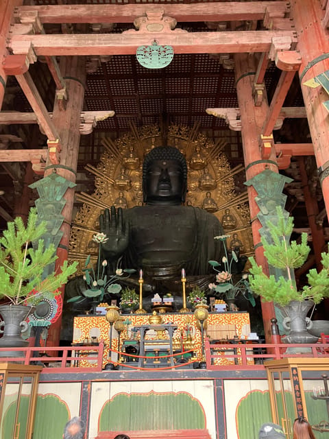 From Osaka: Nara Private Tour with Meet-Up at Your Hotel - Higashimuki Shopping Street: The Quick Local Start