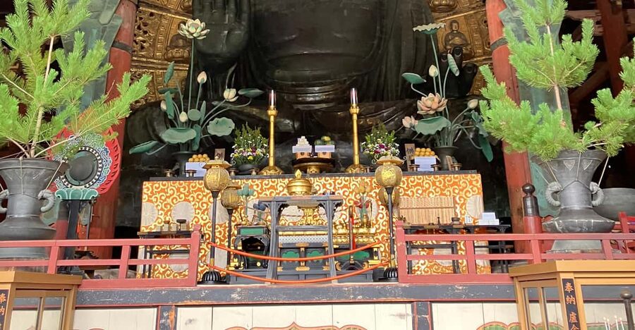 From Osaka: Nara Private Tour with Meet-Up at Your Hotel - Hotel Pickup and Getting There: How You Actually Save Time