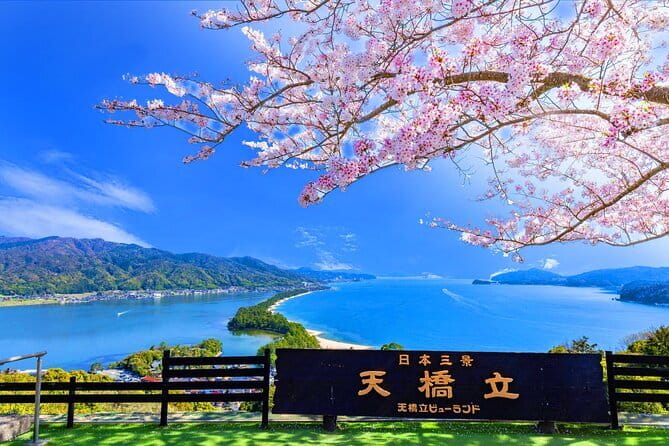 From Osaka or Kyoto: Full Day Sightseeing Tour of Kyoto - Arashiyama Kimono Forest: the quick photo stop with a specific twist