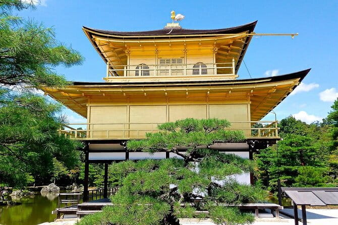 From Osaka or Kyoto: Kyoto and Nara 1-Day Bus Tour - Key things to know before you go
