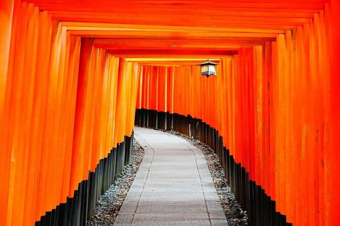 From Osaka or Kyoto: Kyoto and Nara 1-Day Bus Tour - Tenryu-ji, Nonomiya Shrine, and the smaller Kyoto stops that add texture