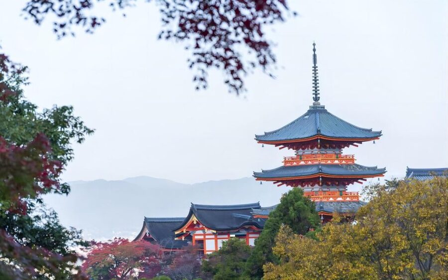 From Osaka: Private Customizable Day Tour to Kyoto - English guide option: what you should expect in practice
