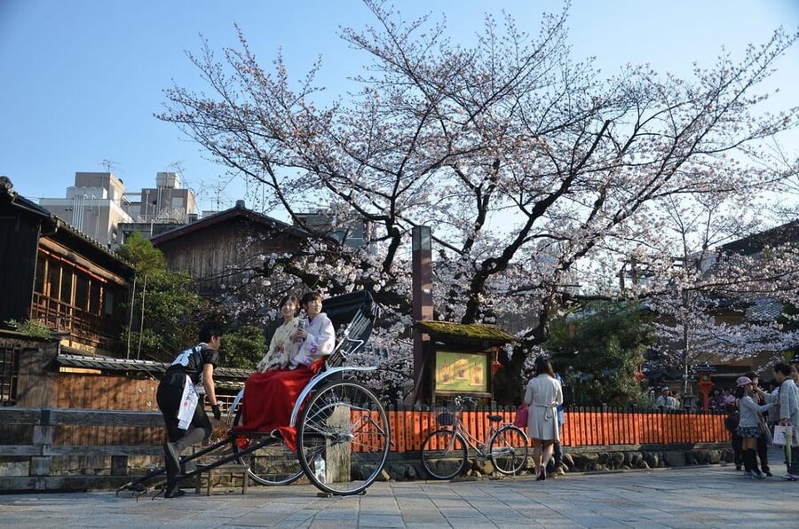From Osaka: Private Customized Day Tour to Kyoto - Lunch Break (About 1 Hour): Plan for a Real Rest