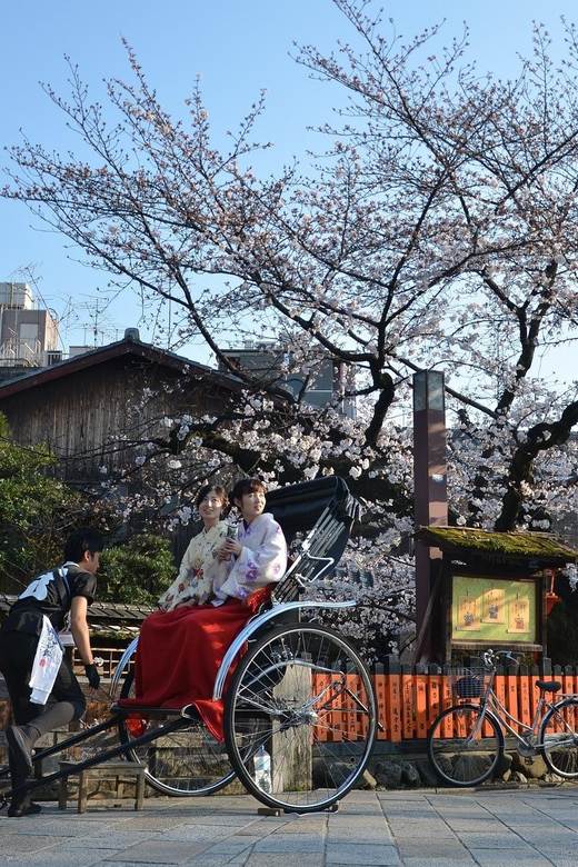 From Osaka: Private Customized Day Tour to Kyoto - Price and Value: $510 for Up to 3, Is It a Good Deal?