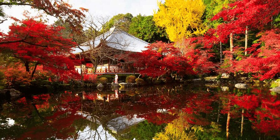 From Osaka: Private Customized Day Tour to Kyoto - From Osaka Pickup to the 1.5-Hour Kyoto Arrival