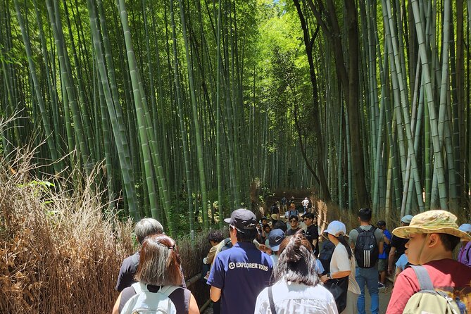 Full Day Guided Tour to Kyoto Arashiyama from Osaka by Van - Kinkaku-ji Temple: the Golden Pavilion and the best garden view paths