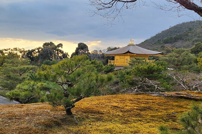 Full Day Guided Tour to Kyoto Arashiyama from Osaka by Van - Back to Osaka: ride comfort plus final Q&A