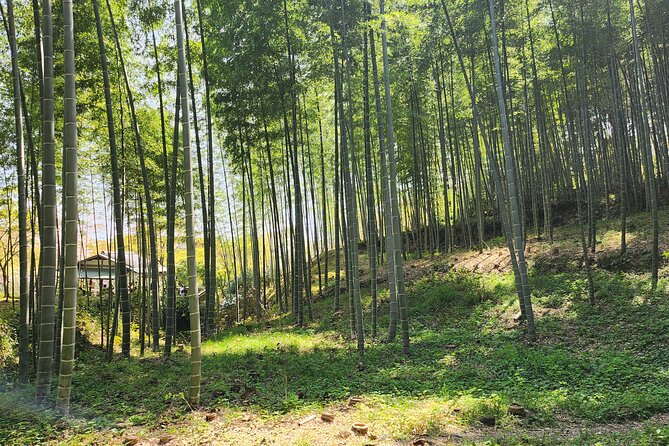Full Day Guided Tour to Kyoto Arashiyama from Osaka by Van - Price and value: what $114.01 really covers