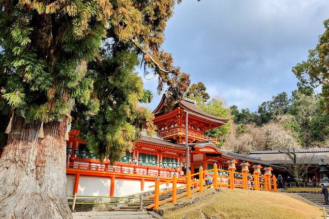 Full Day Guided Tour to Nara from Osaka by Van - Start Points in Osaka and What the 9:45am Timing Means