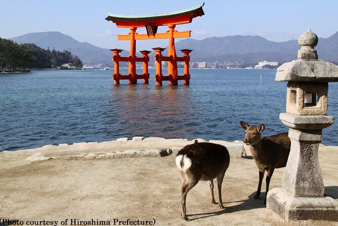Full Day Hiroshima and Miyajima Tour by Bullet Train from Osaka - Miyajima and Itsukushima Shrine: torii moments, walking shoes, and tide awareness