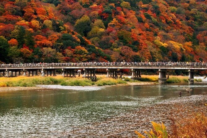 Full Day Tour of Kyoto with Private Transportation - Fushimi Inari-taisha torii gates: planning your 1-hour climb